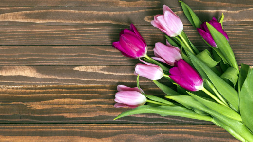 1472596 (a): :2560x1440